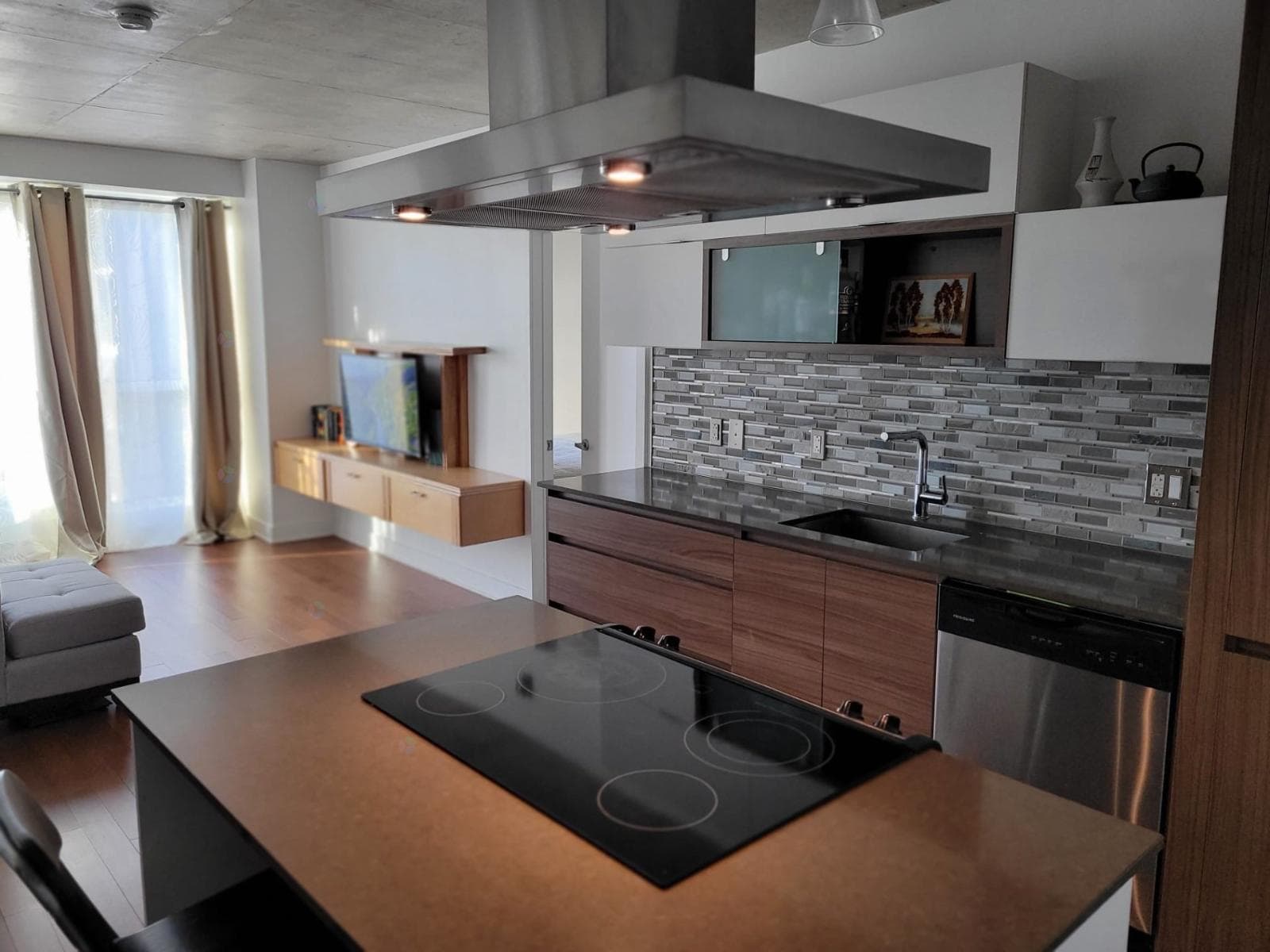 235 Rue Peel, #1603, Montréal (Le Sud-Ouest)