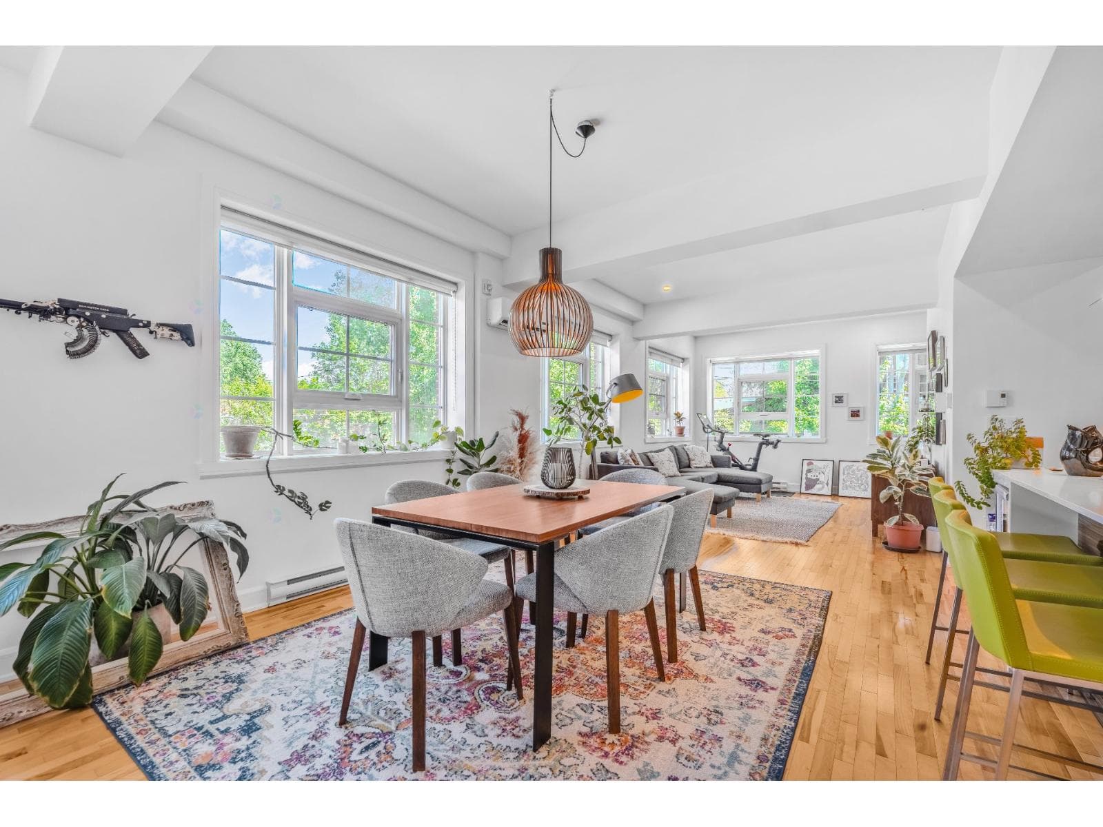 2055 Av. Desjardins, #205, Montréal (Mercier/Hochelaga-Maisonneuve)