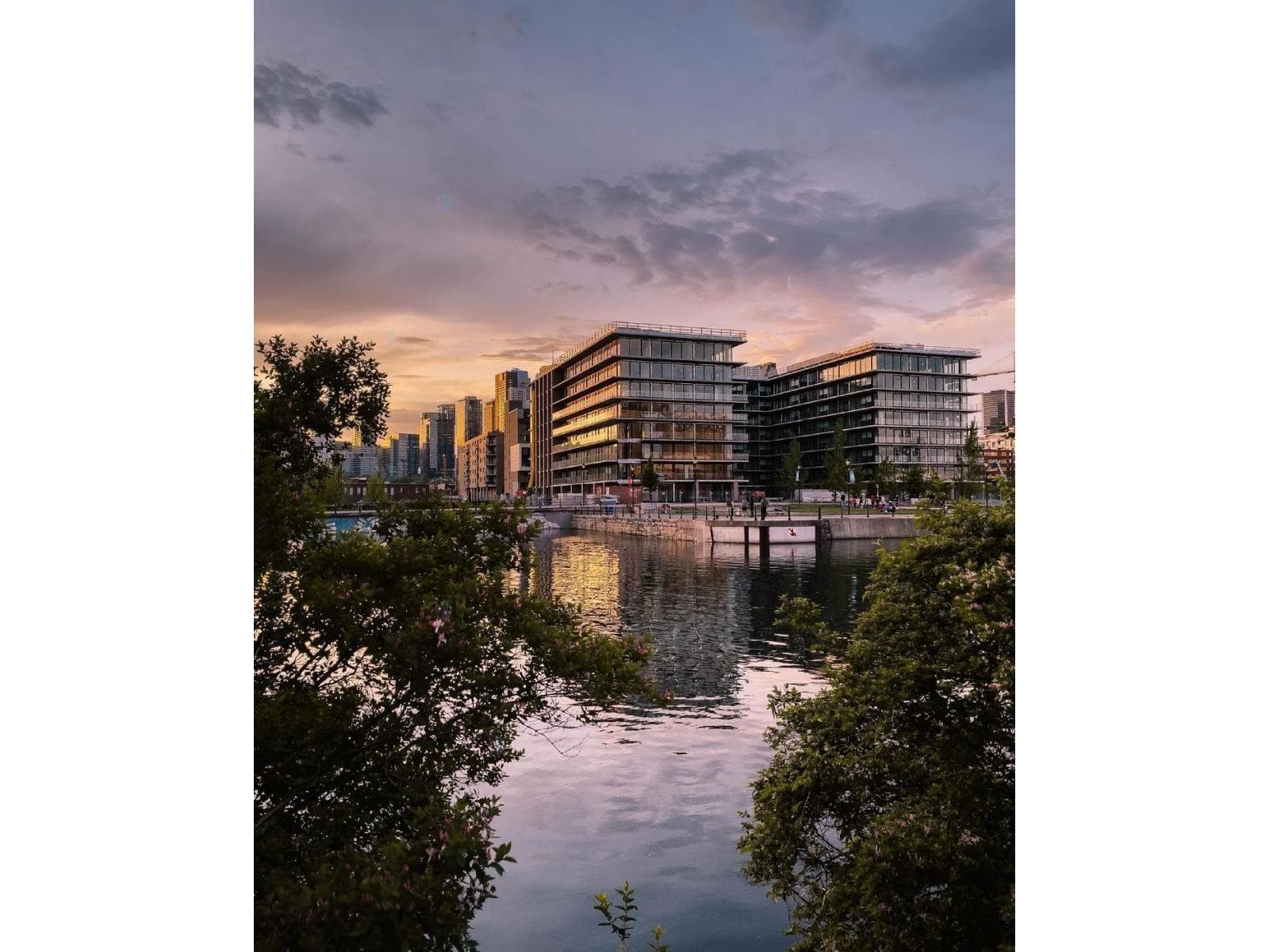 1616 Rue des Bassins, #223, Montréal (Le Sud-Ouest)