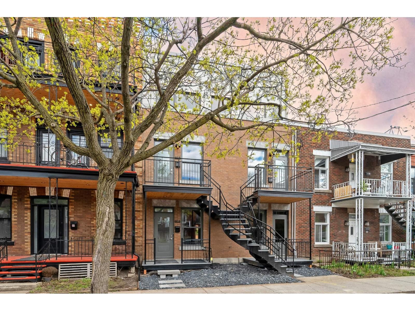 6615 Rue De La Roche, Montréal (Rosemont/La Petite-Patrie)