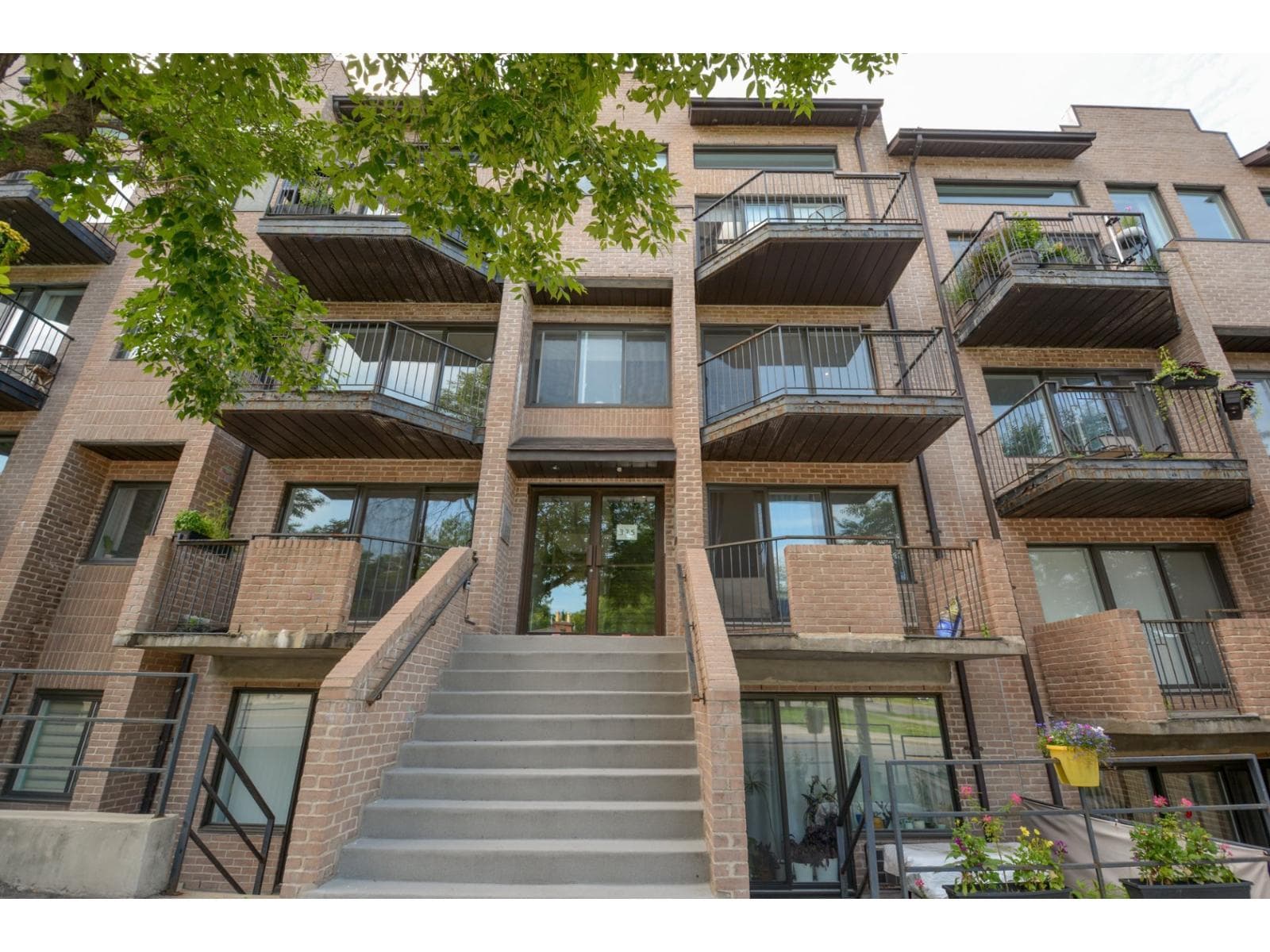 375 Av. du Mont-Royal O., #303, Montréal (Le Plateau-Mont-Royal)