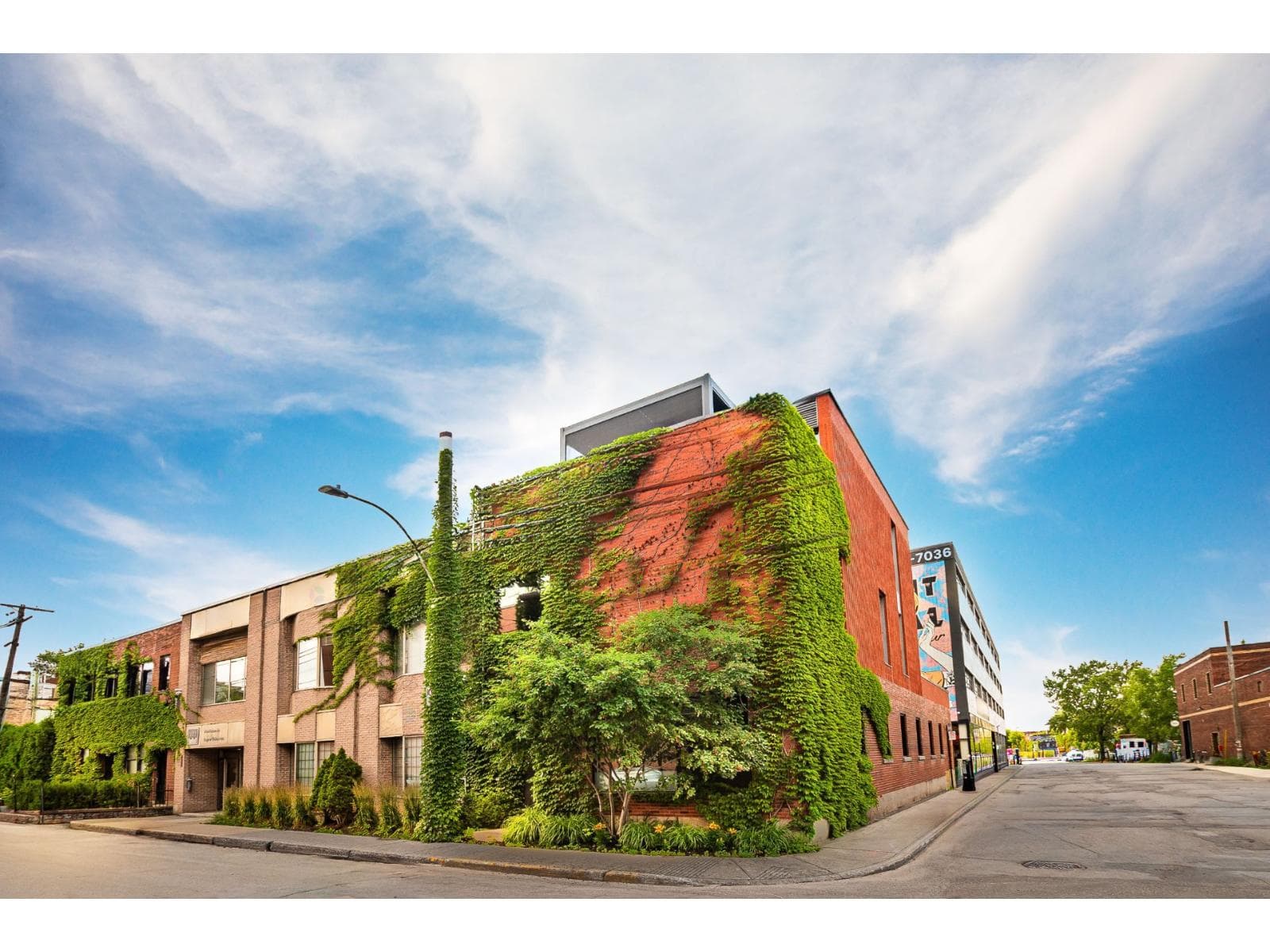 205 Rue St-Zotique O., Montréal (Rosemont/La Petite-Patrie), Quebec H2V1A2 - photo 1