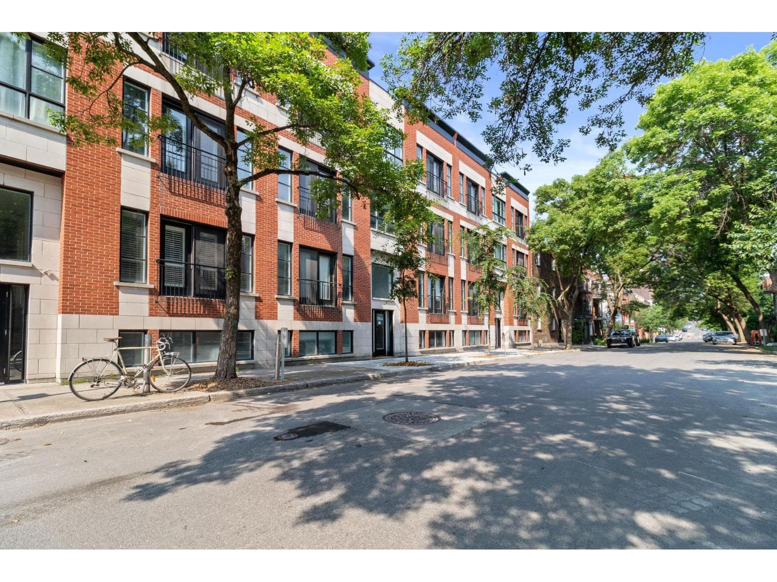 1184 Rue Plessis, #302, Montréal (Ville-Marie), Quebec H2L2W9 - photo 1