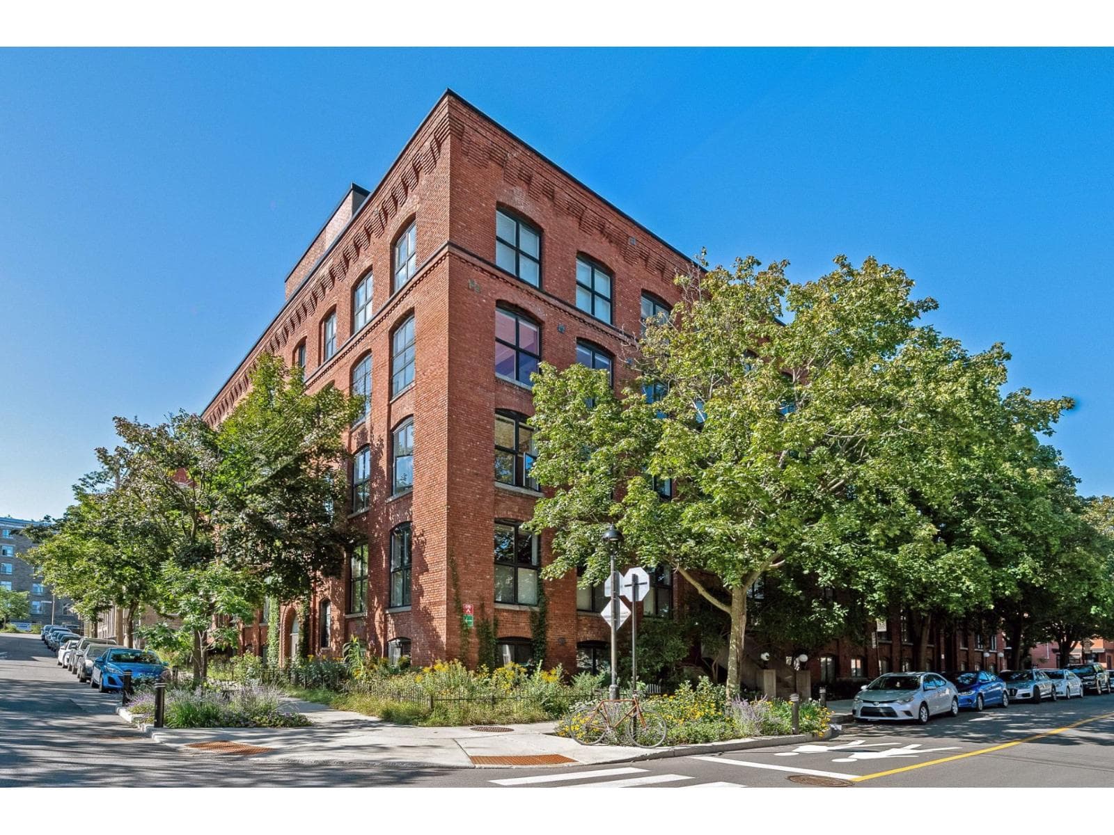 121 Rue Elmire, #107, Montréal (Le Plateau-Mont-Royal), Quebec H2T1J9 - photo 1