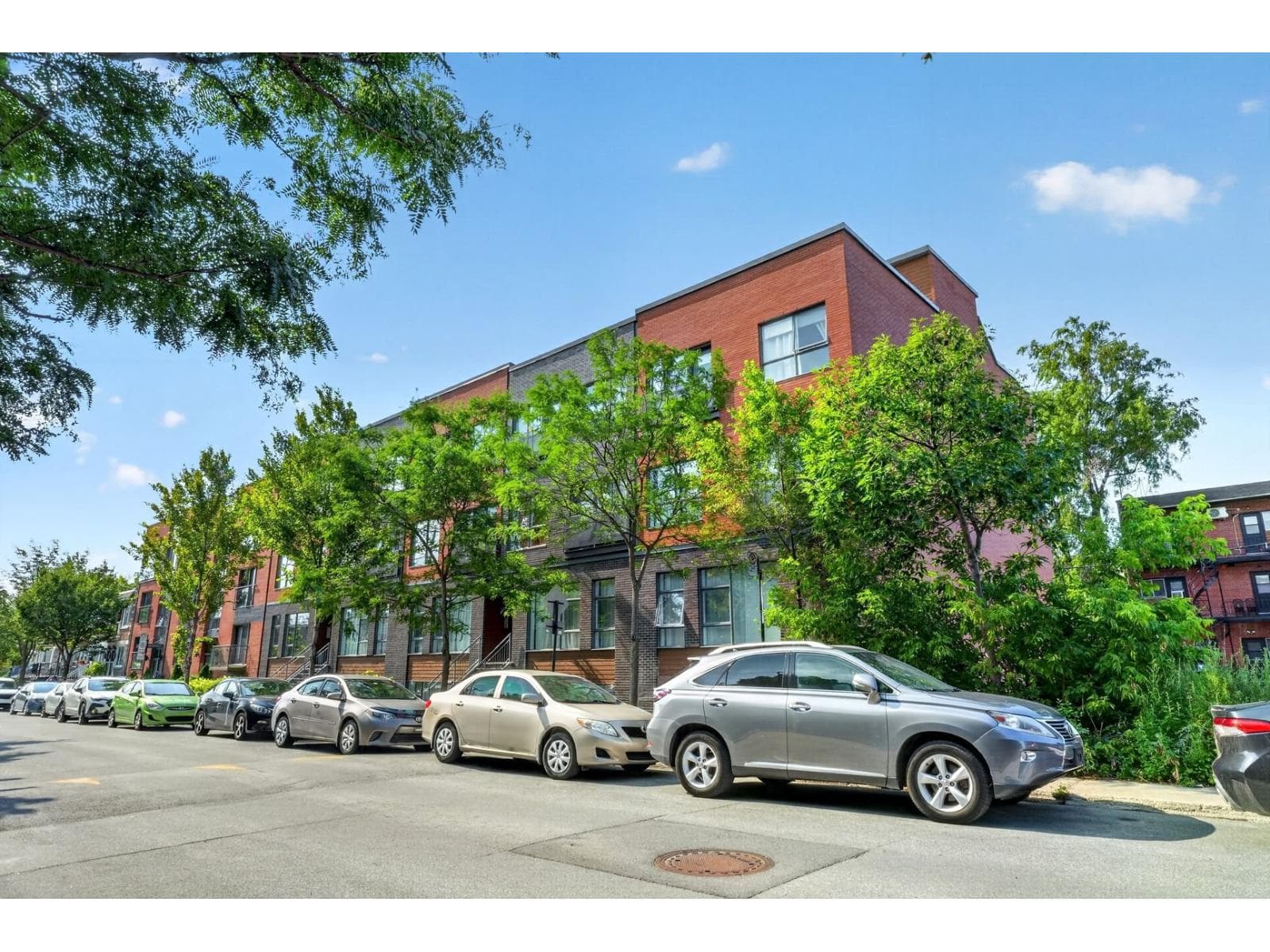 5336 12e Avenue, #101, Montréal (Rosemont/La Petite-Patrie), Quebec H1X2Z7 - photo 1