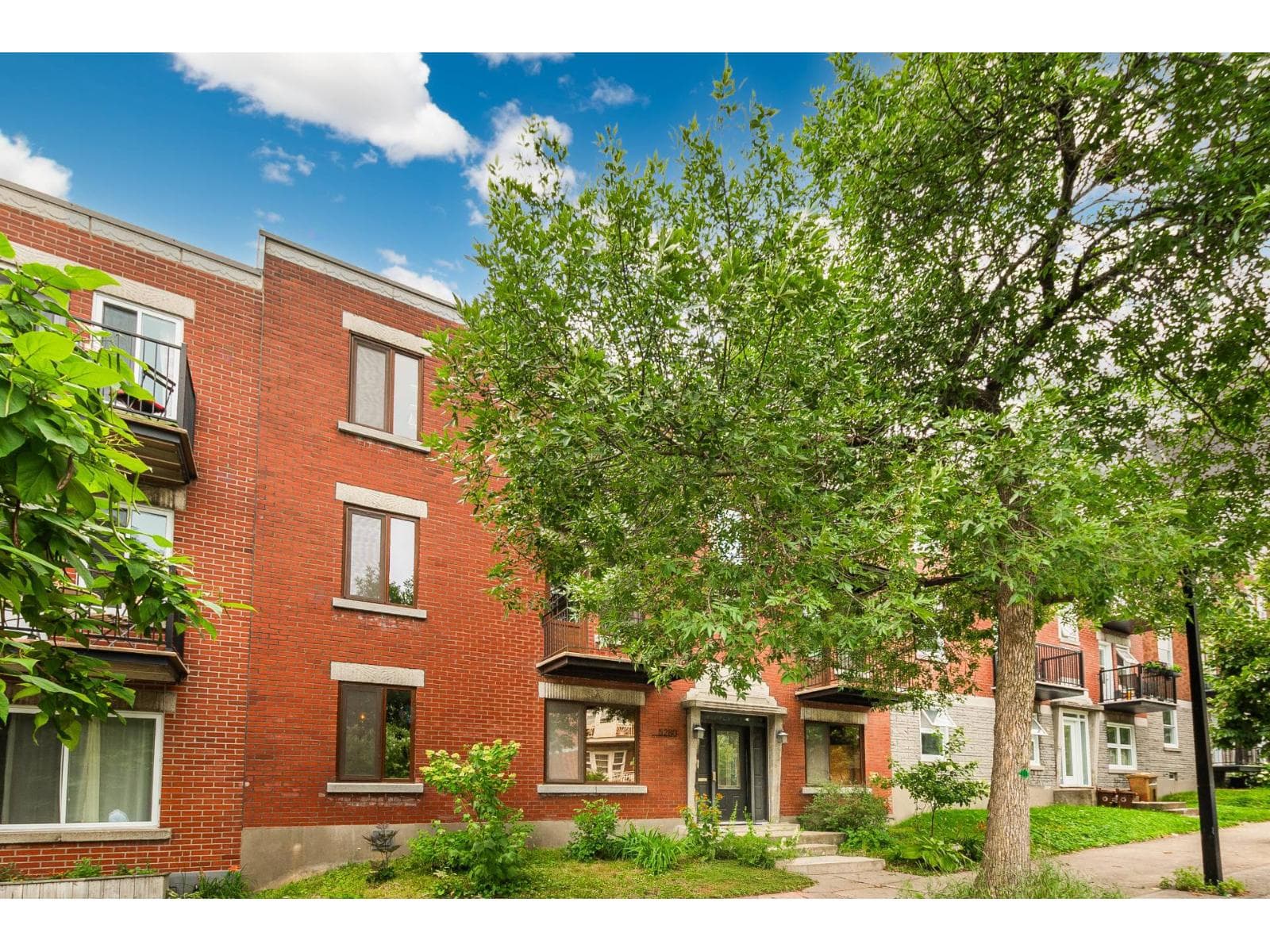 5280 Av. d'Orléans, #1, Montréal (Rosemont/La Petite-Patrie), Quebec H1X2K7 - photo 1