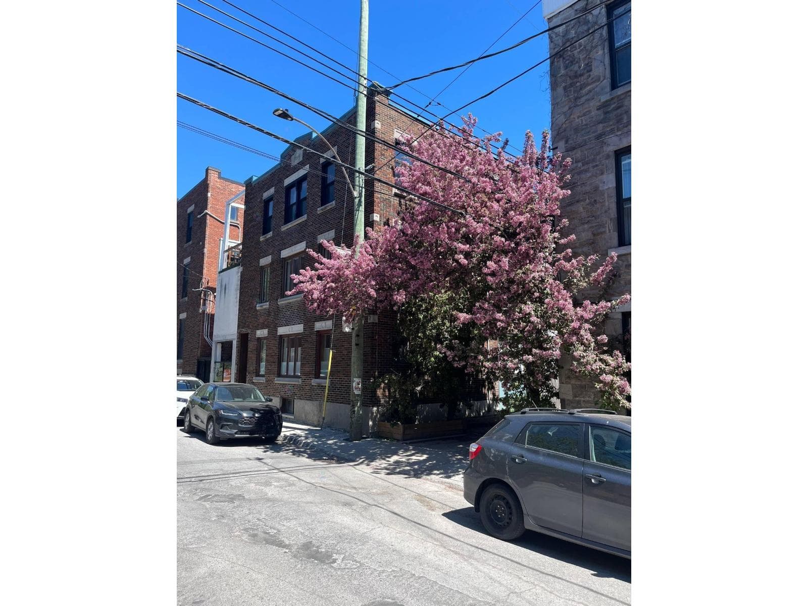 990 Rue Napoléon, Montréal (Le Plateau-Mont-Royal), Quebec H2L1C7