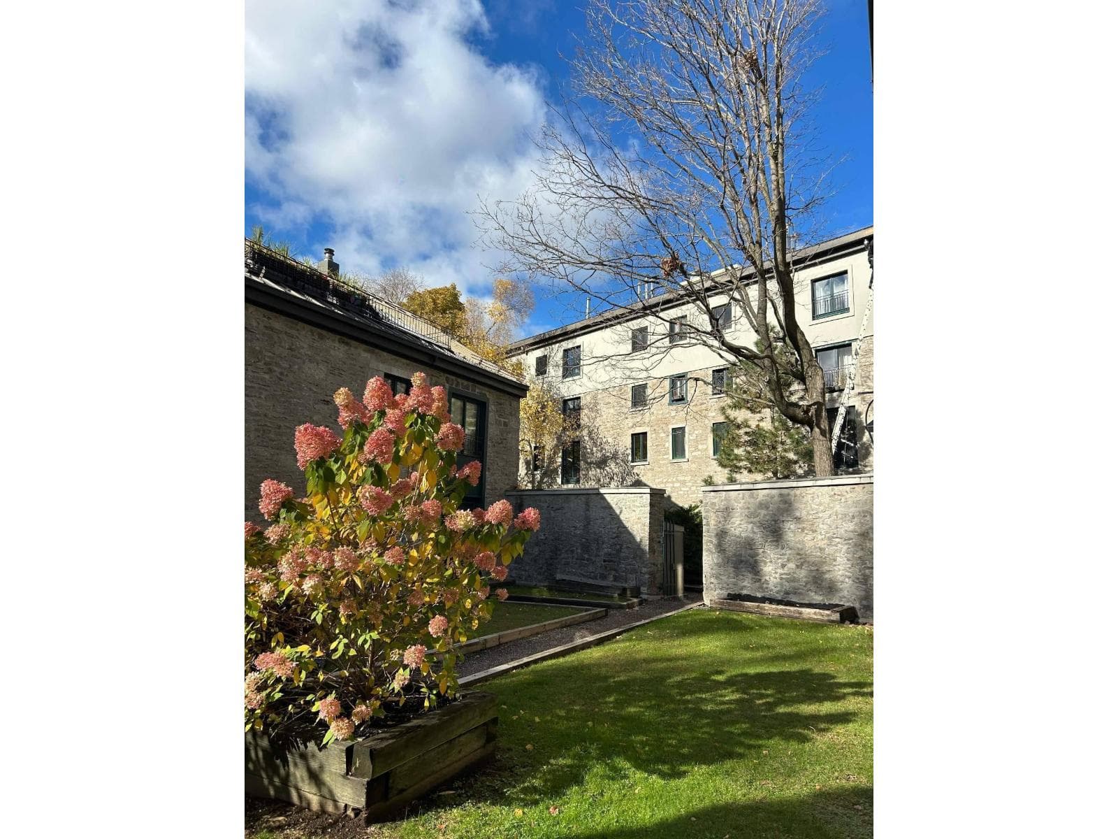 315A Rue de la Commune O., #100, Montréal (Ville-Marie), Quebec H2Y2E1