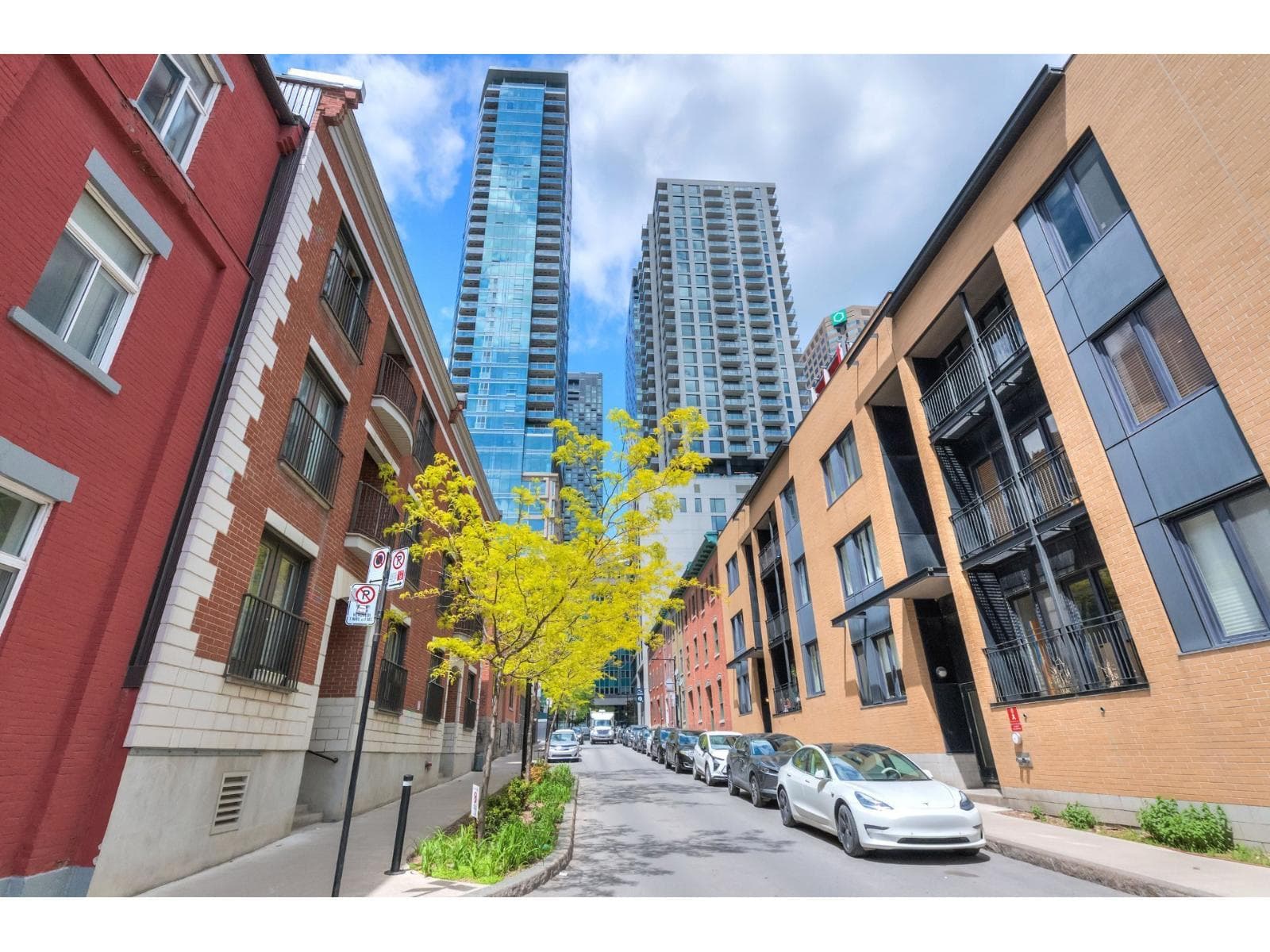 1055 Rue Anderson, #202, Montréal (Ville-Marie), Quebec H2Z1M1