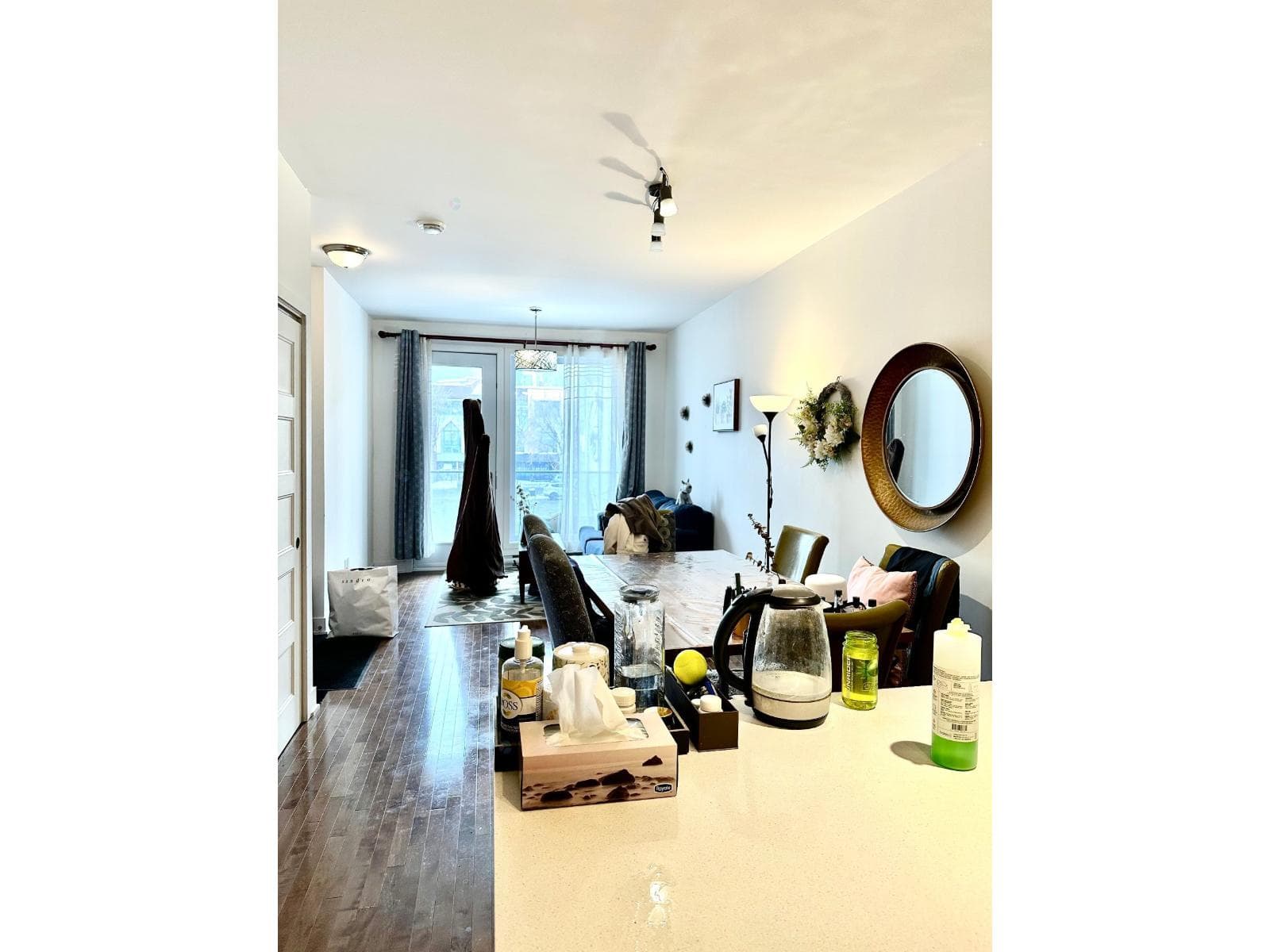 3541 Rue St-Dominique, #201, Montréal (Le Plateau-Mont-Royal)