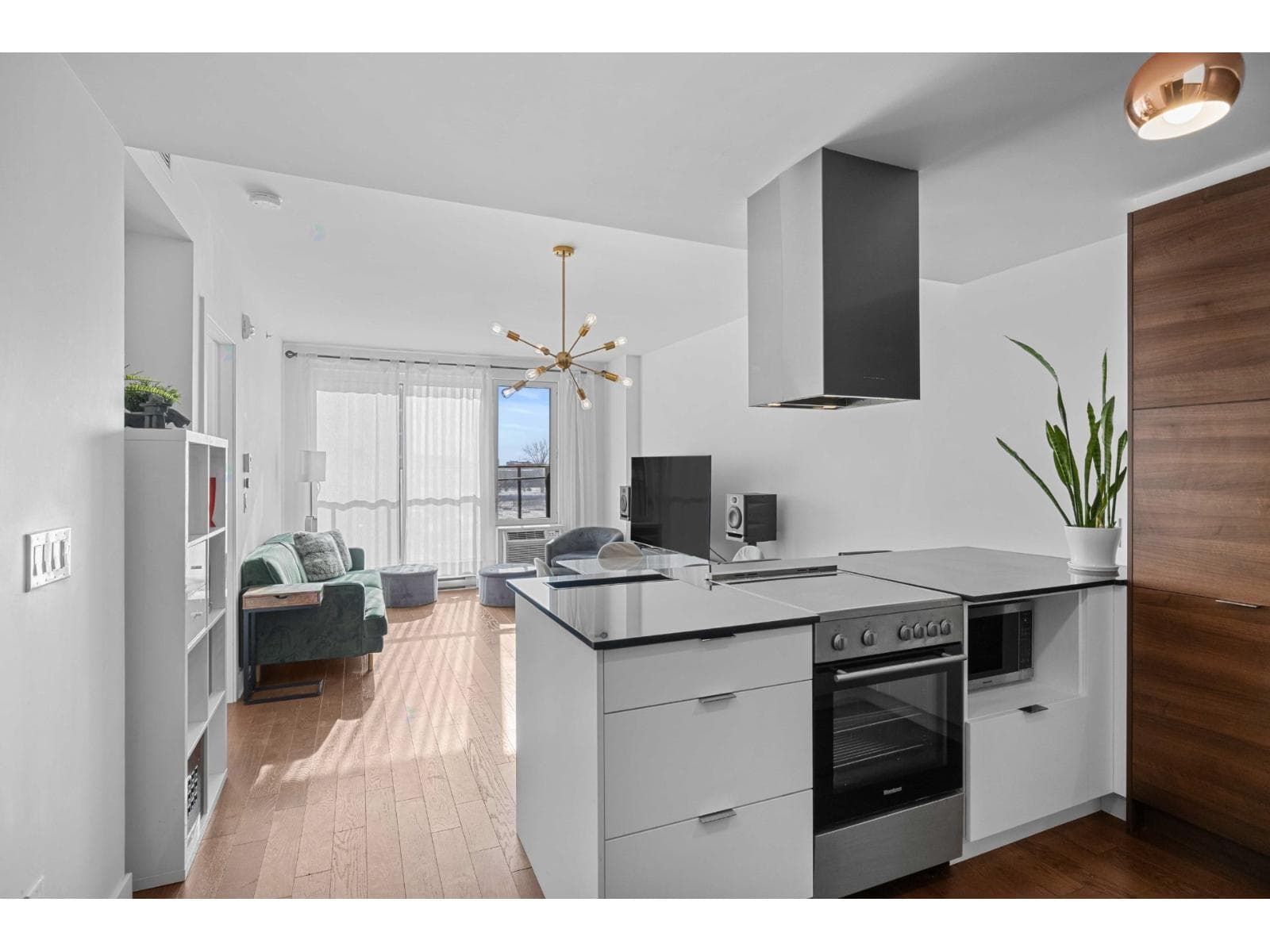1375 Rue des Bassins, #415, Montréal (Le Sud-Ouest)
