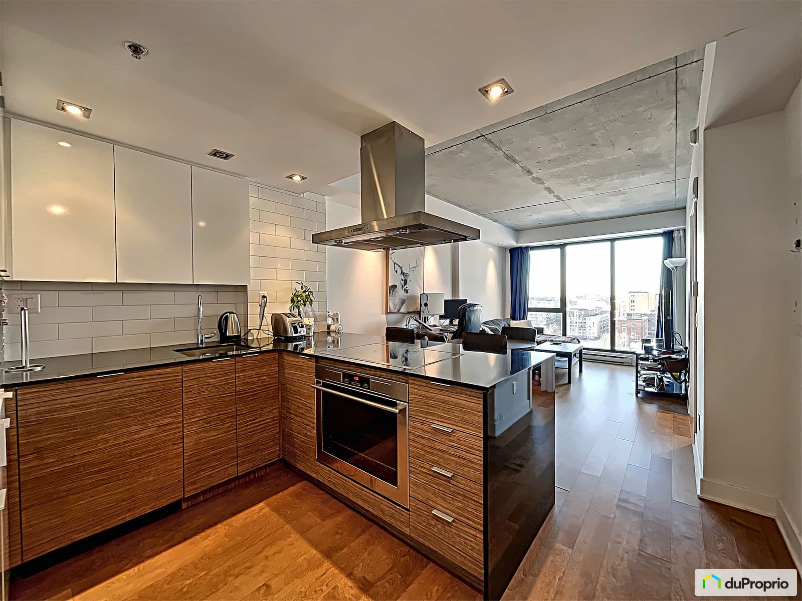1403-738 rue Saint-Paul Ouest, Ville-Marie (Centre-Ville et Vieux-Montréal)